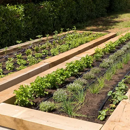 Marsenses Paradise Club