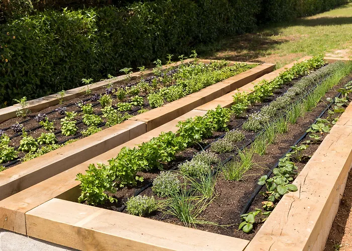 Marsenses Paradise Club